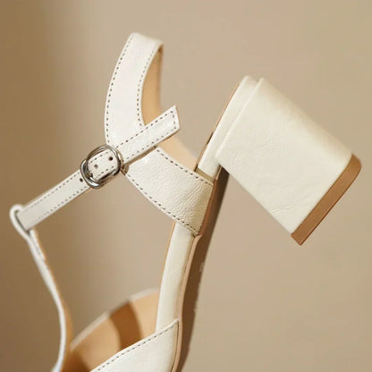 Women's Leather Mary Janes – T-Strap, Block Heel, Buckle Closure